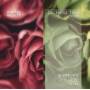 Heinz Tlle Dr. / Ronny Matthes / Sabine Murz - Bltezeit der Liebe (Teil 1 & 2)-Gedichtelesung