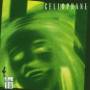 Cellophane - Hang Ups