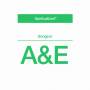 Spiritualized - Songs In A&E