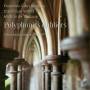 Vellard / Ensemble Gilles Binchois / Maitrise De T - Polyphonies Oubliees