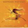 Bamboo Forest - Release Your Mind