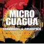 Microguagua - Grandhotel Cosmopolis