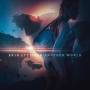 Erja Lyytinen - Another World (LP/180g)