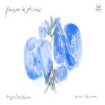 Maya Belsitzman & Uriel Herman - Pauses in Shades