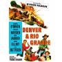 Denver & Rio Grande / (rmst Col) - Denver & Rio Grande [US-Version, Regio 1]