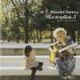Acid Black Cherry - Recreation 3