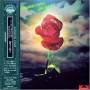 Arthur-kingdom Com Brown - Journey