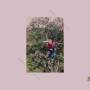 Eyolf Dale - Being