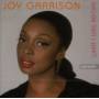 Joy Garrison - What I Was Before