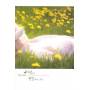 Nature Music For Your Tranquil Mind - Nature Music For Your Tranquil Mind