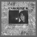 Caroline K - Now Wait For The Last Year