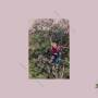 Eyolf Dale - Being