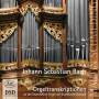 BACH J. S. - Johann Sebastian Bach-Orgeltranskriptionen