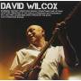 David Wilcox - Icon