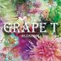 Grape T - Blossom