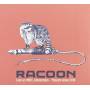 Racoon - Live At Hmh, Amsterdam Theatre - Show 2016