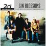 Gin Blossoms - 20th Century Masters: Millennium Collection