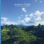 Anthony Child - Electronic Recordings From Maui Jungle Vol.2