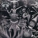 Master's Hamme - Live Occult Rituals (CD)
