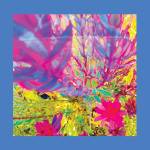 Reds, Pinks And Purples, The - THE PAST IS A GARDEN I NEVER FED (Neon Pink Vinyl)
