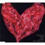 Mondo Grosso - Everything Needs Love
