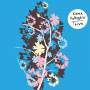Kama Collective - Toivo