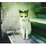 Wildie - Lost & Gone
