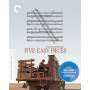 Criterion Collection: Five Easy Pieces / (ws) - Five Easy Pieces/bd [US-Version, Regio 1]