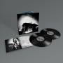 Set Fire To Flames - Sings Reign Rebuilder(20th Anniv.Re.)(Ltd.2LP+MP3)