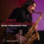 Noah Trio Preminger - Sky Continuous