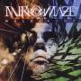 Mirrormaze - Walkabout