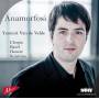 Yannick Van De Velde - Anamorfosi