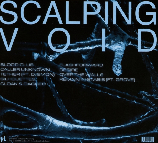 Void 1