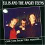 Ellis & Angry Teens - Can You Hear The Sound