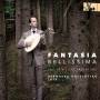 Bernhard Hofsttter - Fantasia Bellisima-The Lviv Lute Tablature