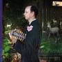Bernhard Hofsttter - Fantasia Belissima-The Lviv Lute Tablature