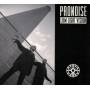 Pronoise - Low Light Vision
