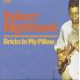 Robert Nighthawk - Bricks In My Pillow