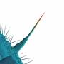 peter Gabriel - And I'll Scratch Yours