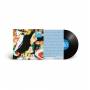 Palm - Nicks And Grazes (LP+DL)