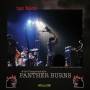 Tav Falco & Panther Burns - Administrator Blues