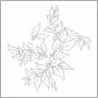 Nhor - Momenta Quintae Essentiae (Ltd.Gatefold/180 Gra