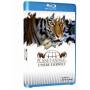 Jean-Claude Pigalle - Planet Animal-Unsere Tierwelt [DE-Version, Regio 2/B]