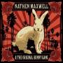 Nate Maxwell - White Rabbit
