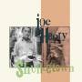 Joe Henry - Shuffletown