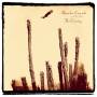 Alejandro Escovedo - Crossing