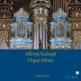 Aigars Reinis - Alfreds Kalnins: Organ Music