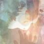 Veldt - Shocking Fuzz Of Your Electric Fur: The Drake Equa