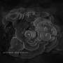 Yannick Dauby - (Coral House) Penghu Experimental Sound (...)