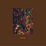 McCarthy - I Am A Wallet (2lp+7)